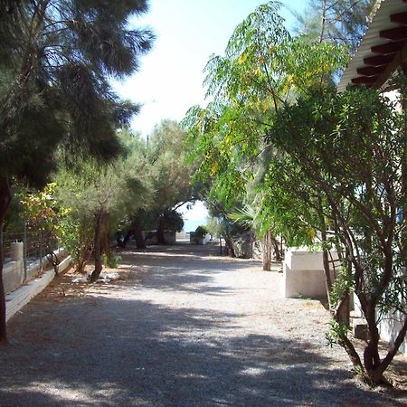 بسيلي أوموس Oasis Studios المظهر الخارجي الصورة