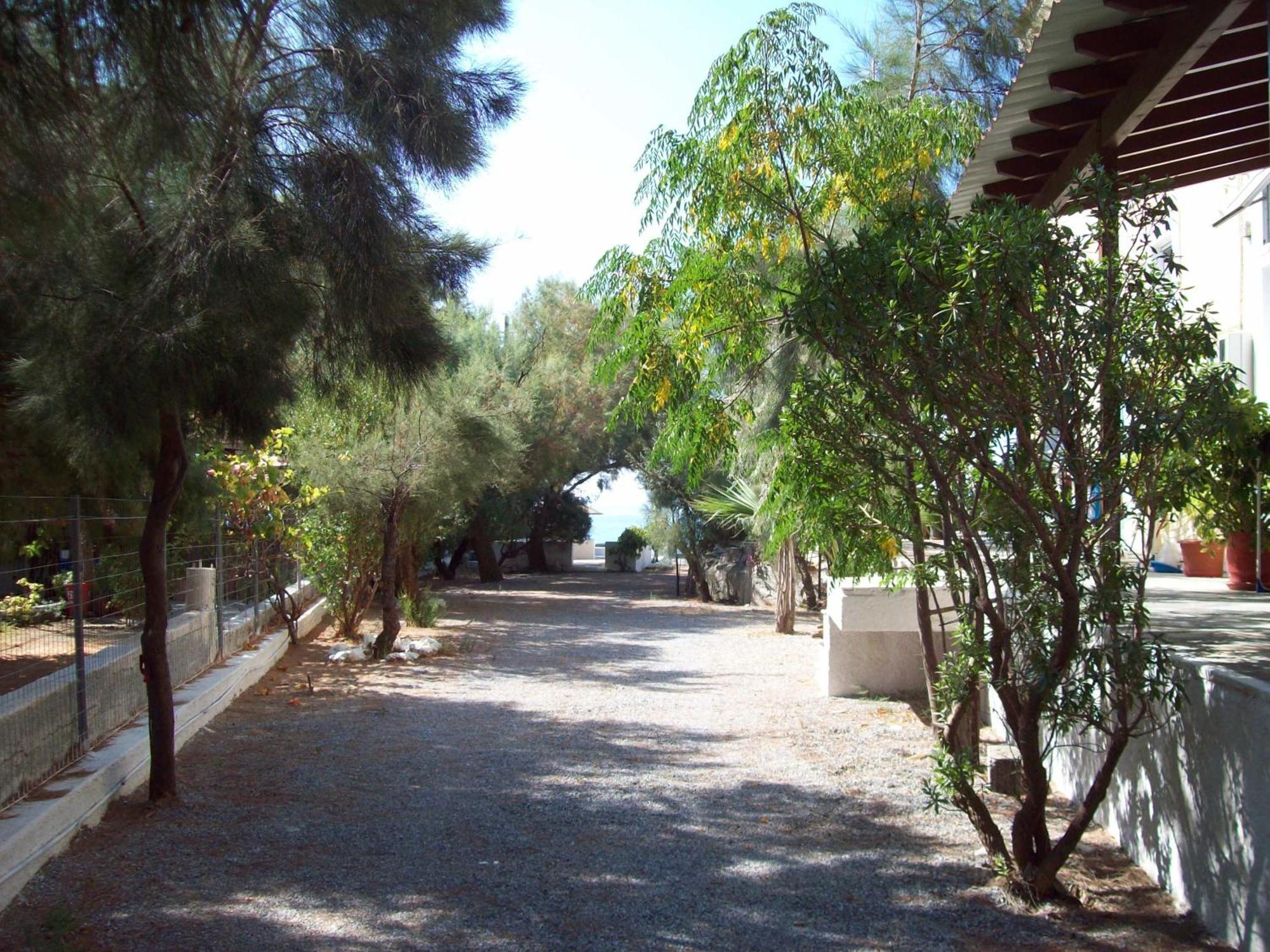 بسيلي أوموس Oasis Studios المظهر الخارجي الصورة